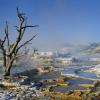 Mammoth Hot Springs
© 2020 S. Mayeaux